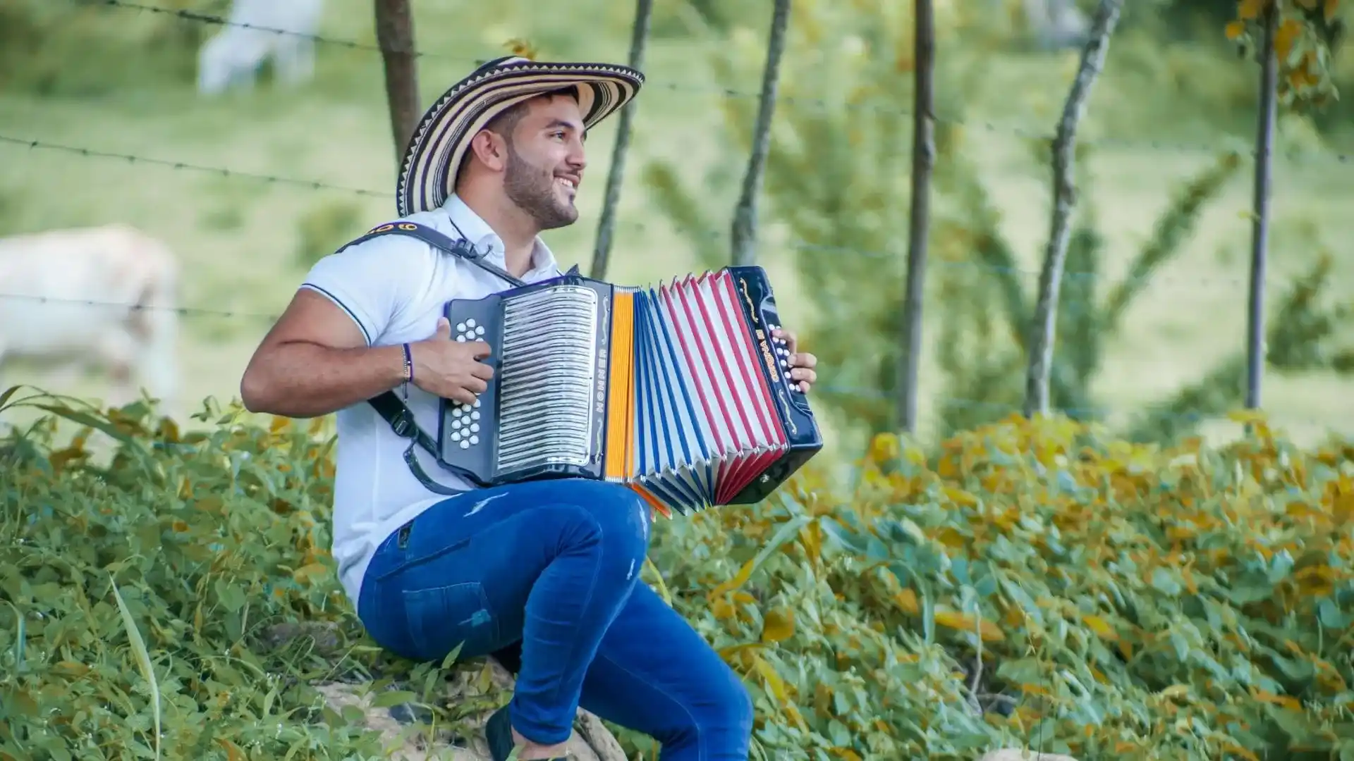 Géneros Musicales Colombianos | Vallenato